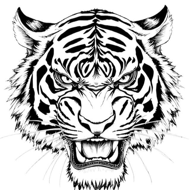 Tattoo consultation booking at Rising Tiger Tattoo in Brunswick, Ohio