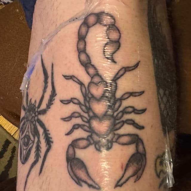 Custom tattoo by Daniella Calabrese at Rising Tiger Tattoo in Brunswick, Ohio